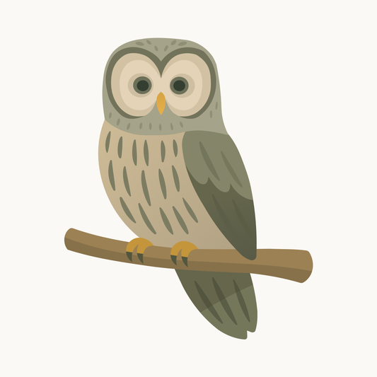 Eydis wallsticker med hornugle fra Little Northlings