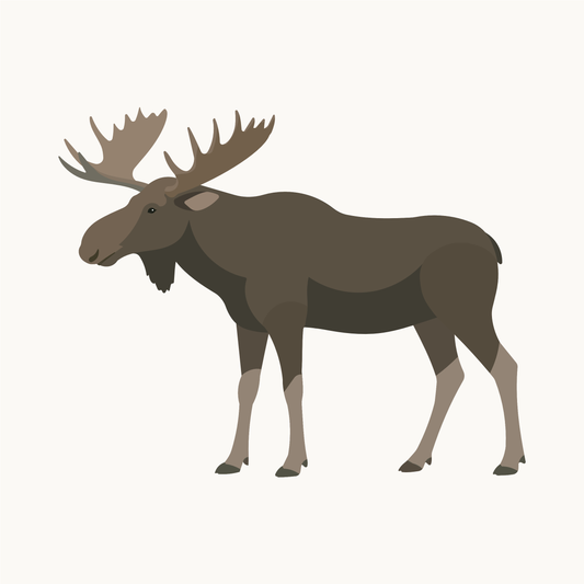 Wallsticker med Elgen Mats fra Little Northlings