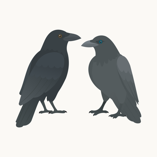 Wallstickers med Odins ravne fra Little Northlings